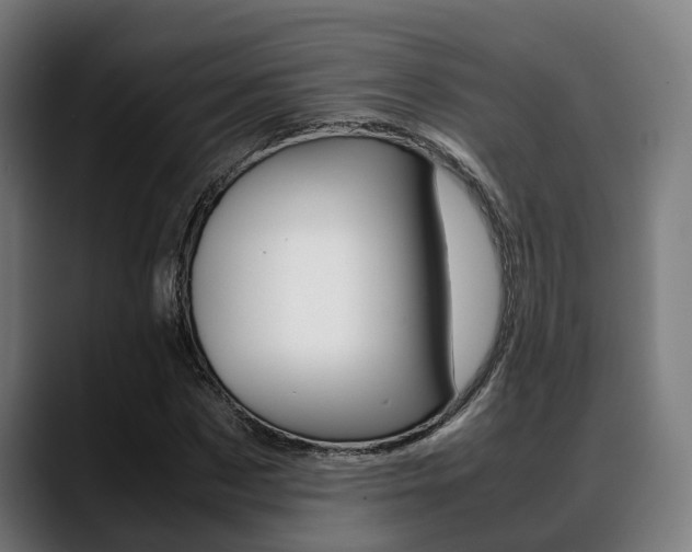 X0000088660873200705251000