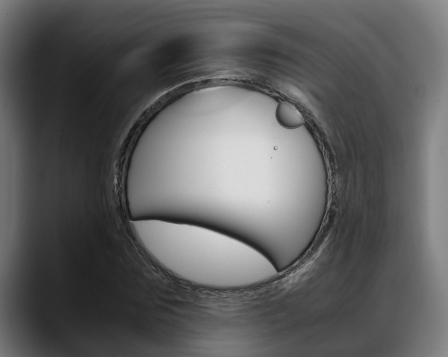 X0000088660875200705251000