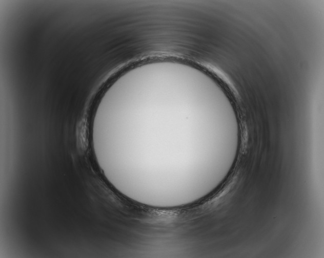 X0000088660878200705251000
