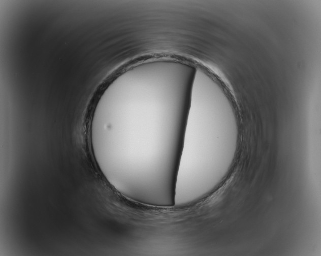 X0000088660879200705251000