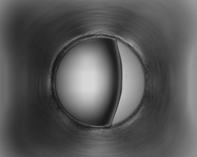 X0000088660880200705251000