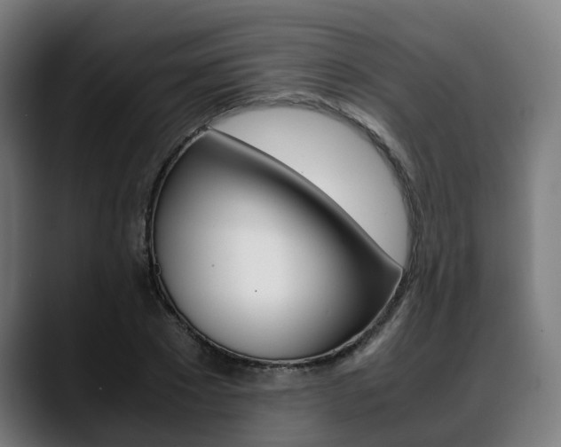 X0000088660881200705251000