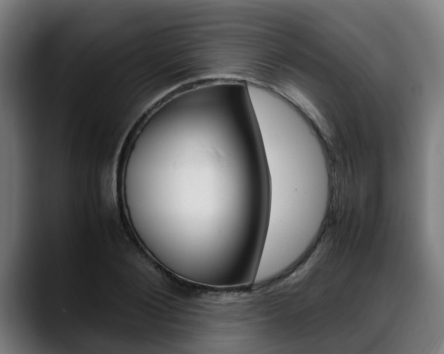 X0000088660884200705250959