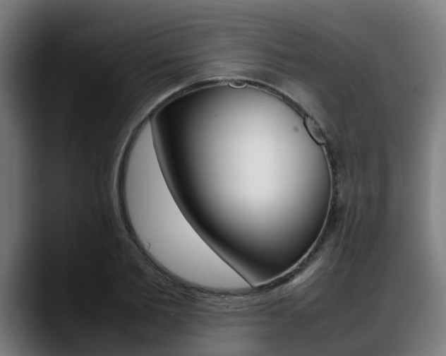 X0000088660885200705250959