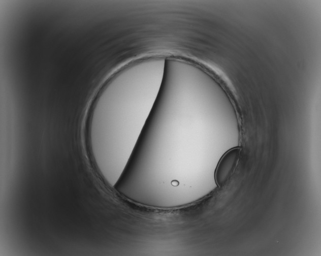 X0000088660887200705250959