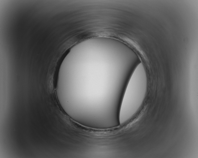 X0000088660889200705250959