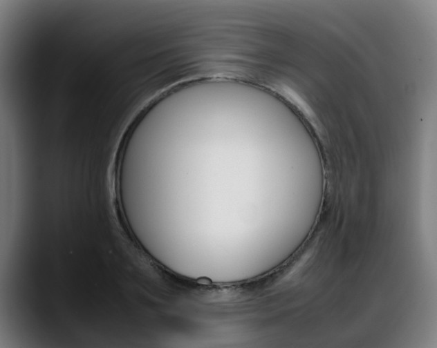 X0000088660891200705250959