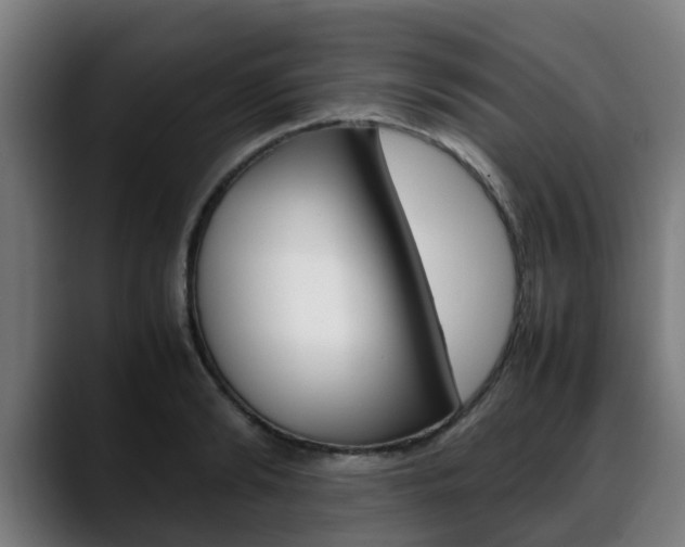 X0000088660894200705250959