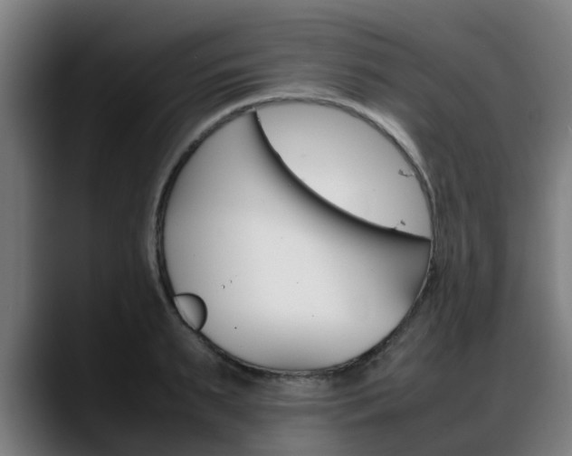 X0000088660895200705250959