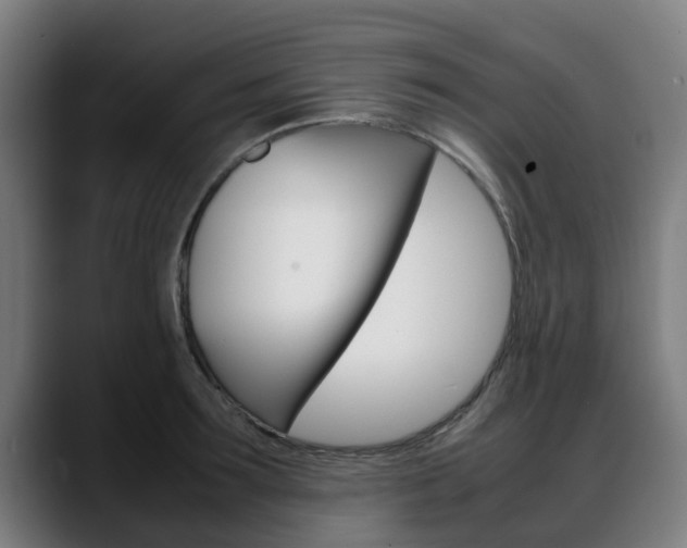 X0000088660899200705250959