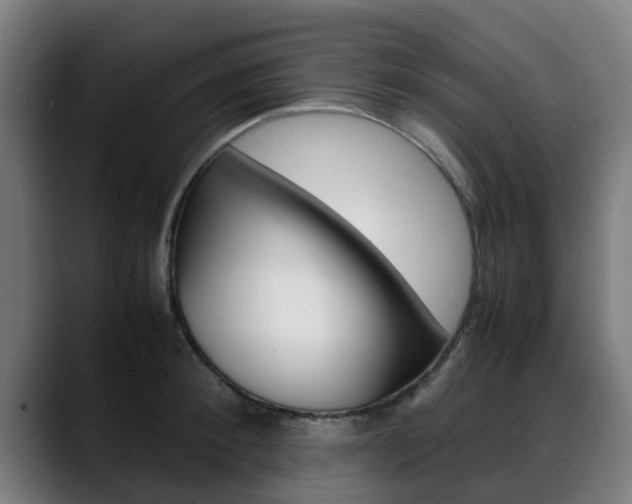 X0000088660900200705250959