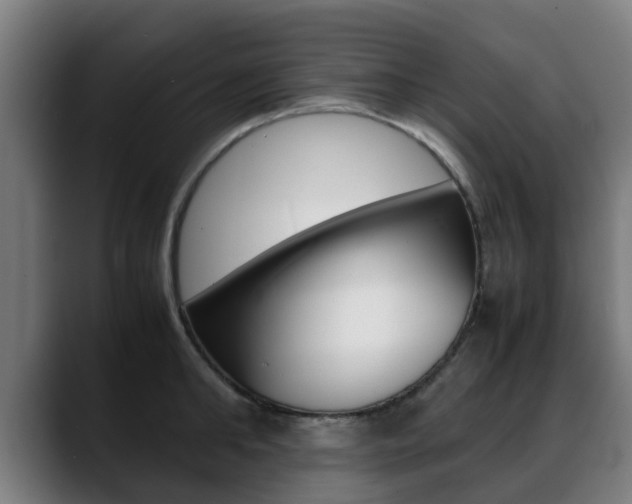 X0000088660902200705250959