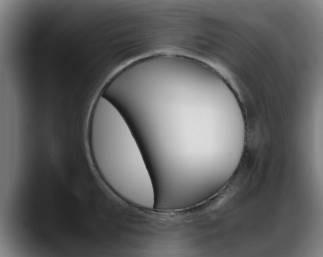 X0000088660903200705250959
