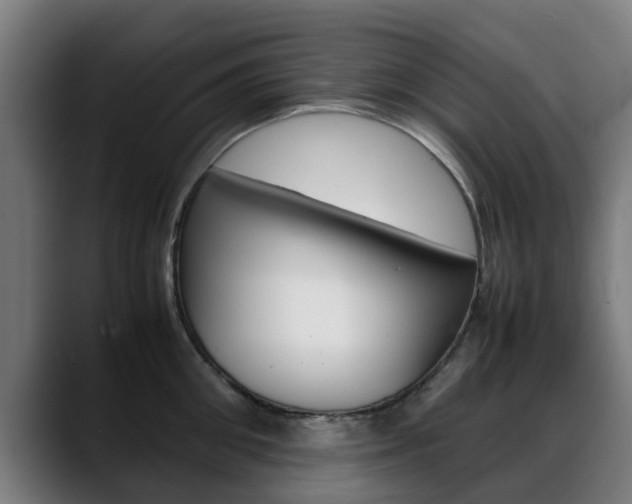 X0000088660906200705250959