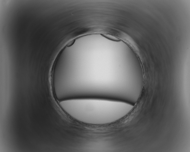 X0000088660907200705250959