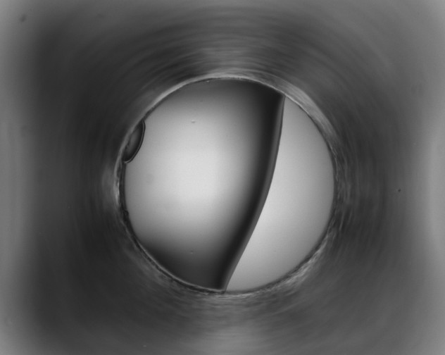 X0000088660908200705250959