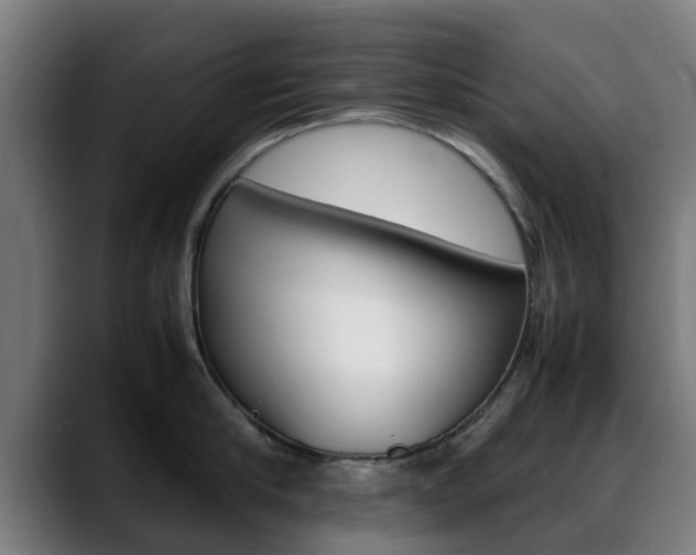 X0000088660910200705250959