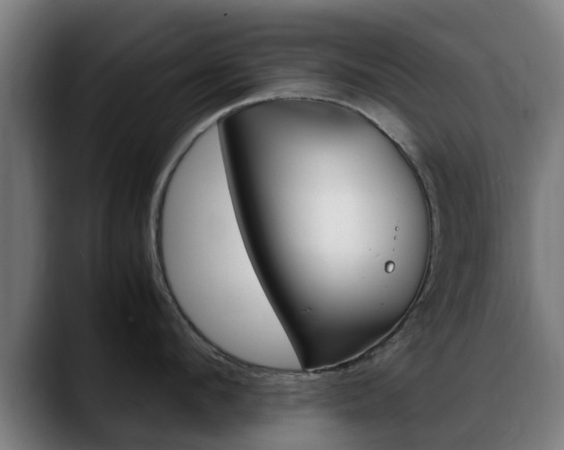 X0000088660912200705250959
