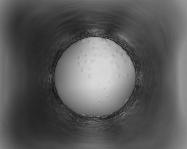 X0000088660917200705250959