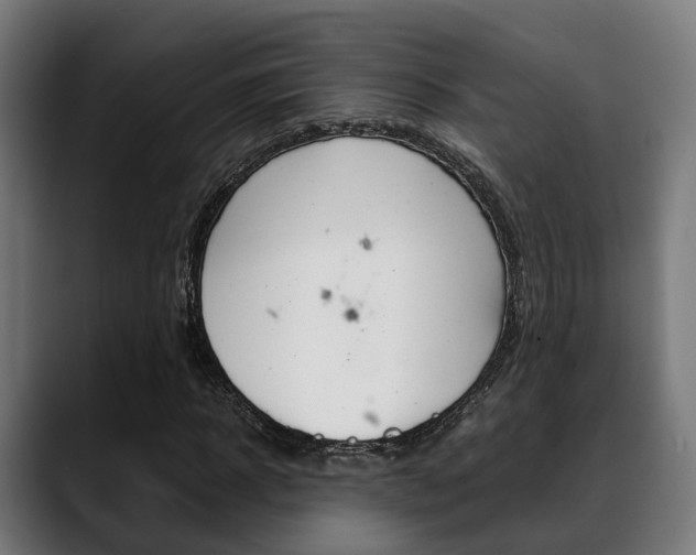 X0000088660918200705250959