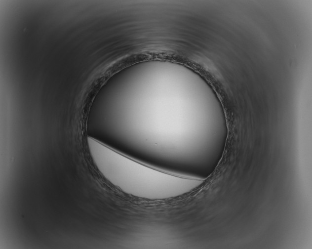 X0000088660920200705250959