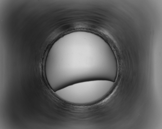 X0000088660921200705250959