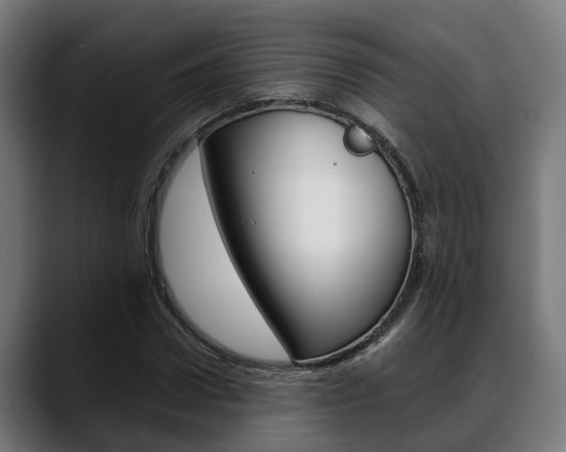 X0000088660922200705250959