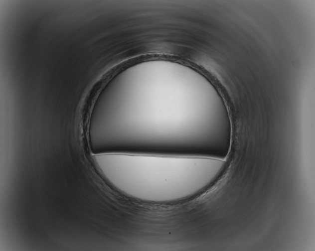 X0000088660923200705250959