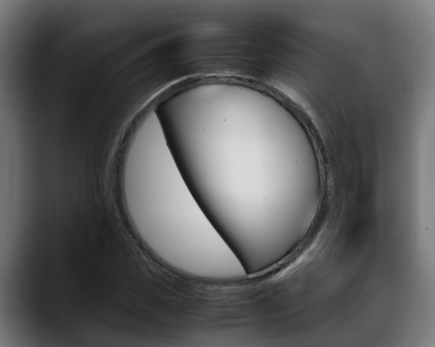 X0000088660925200705250959