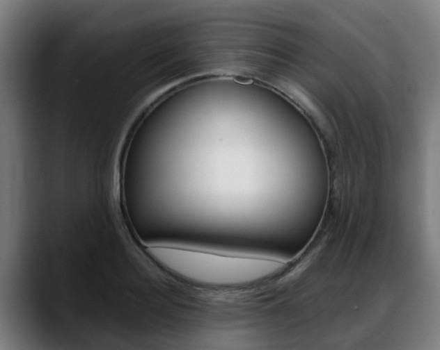 X0000088660940200705250959