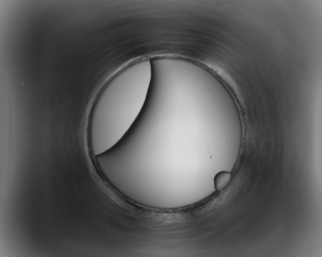 X0000088660941200705250959
