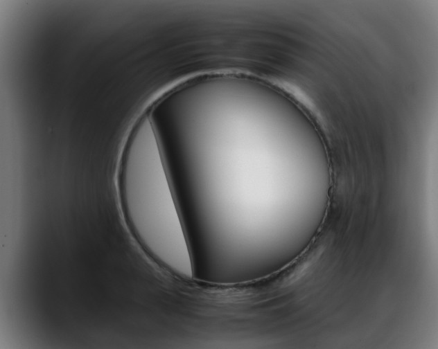 X0000088660943200705250959