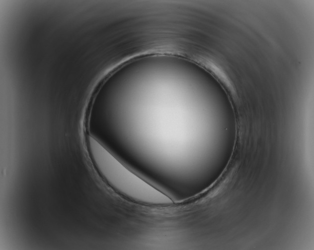 X0000088660944200705250959