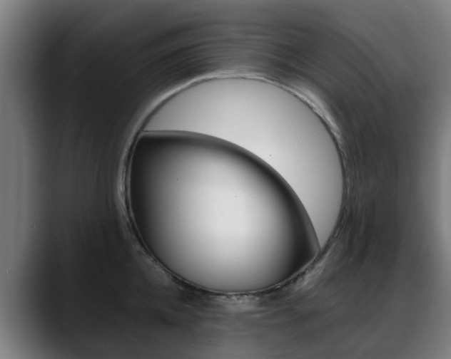 X0000088660952200705250959