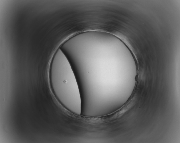 X0000088660957200705250959