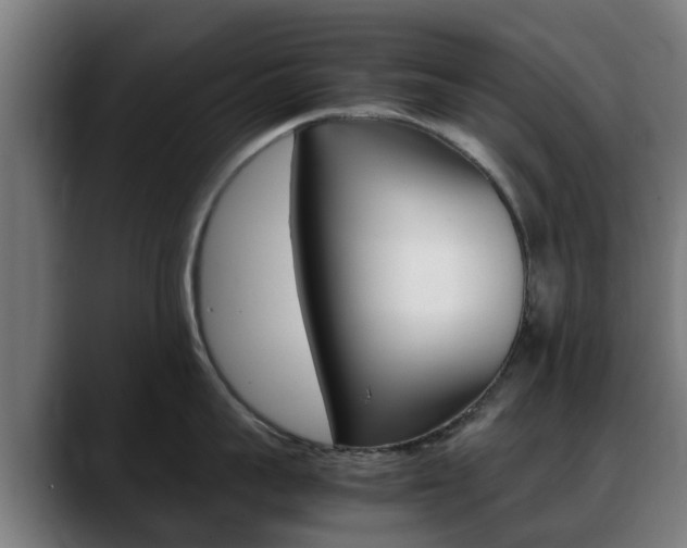 X0000088660959200705250959
