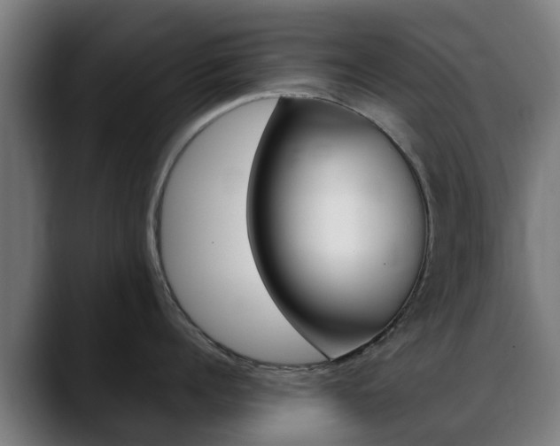 X0000088660960200705250959