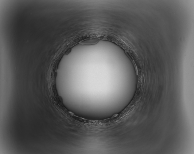 X0000088660961200705250958
