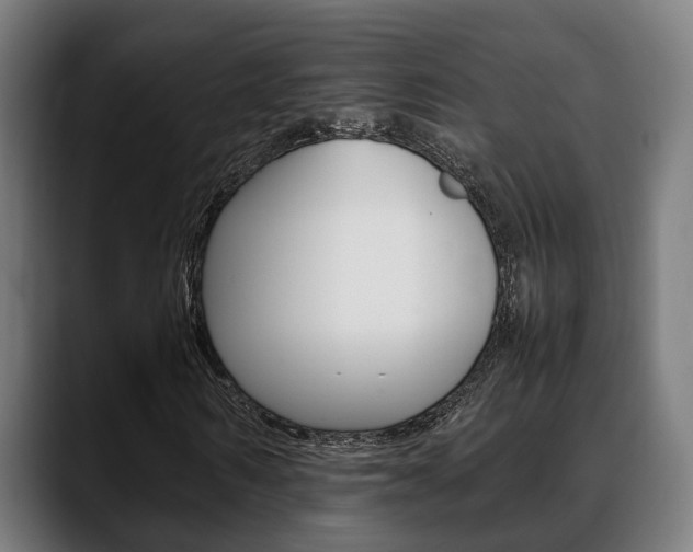 X0000088660962200705250958