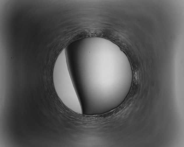 X0000088660963200705250958
