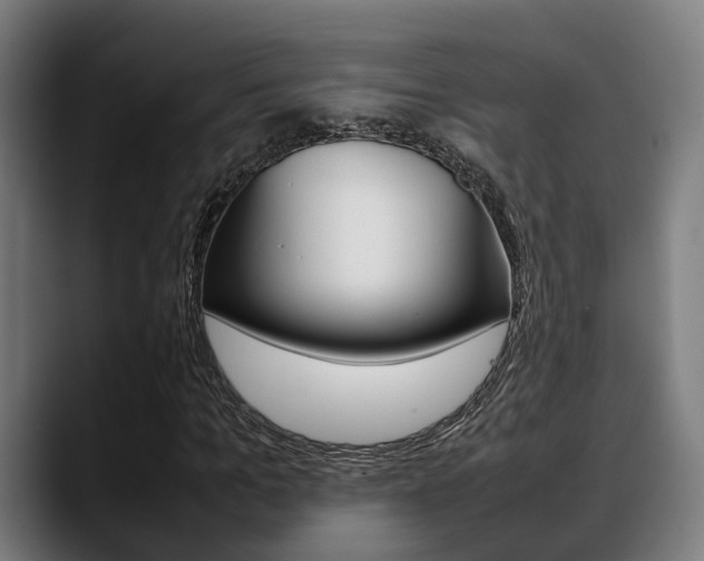 X0000088660965200705250958
