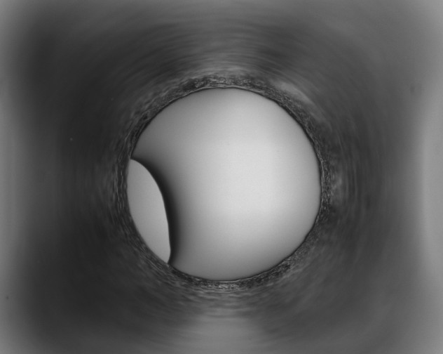 X0000088660966200705250958