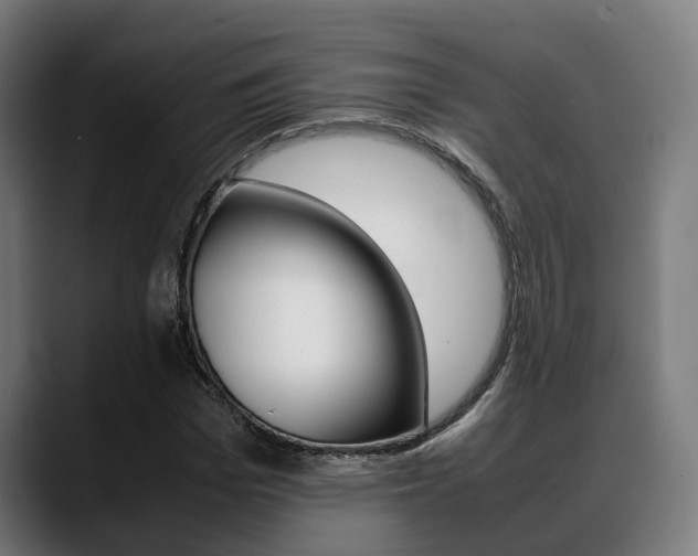 X0000088660969200705250958