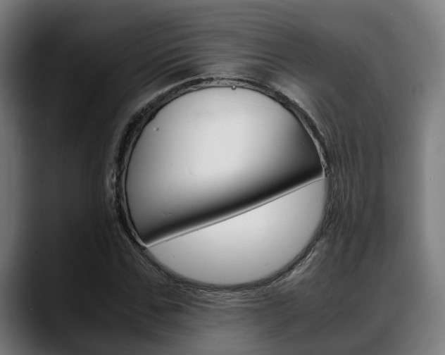 X0000088660971200705250958
