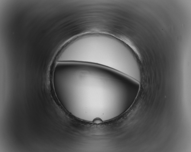 X0000088660972200705250958