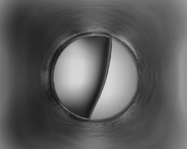 X0000088660975200705250958