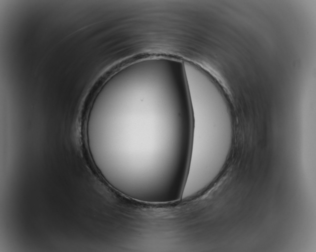 X0000088660976200705250958