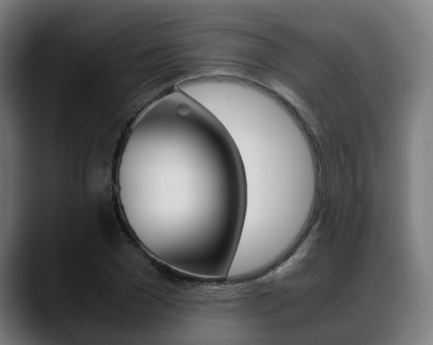 X0000088660977200705250958