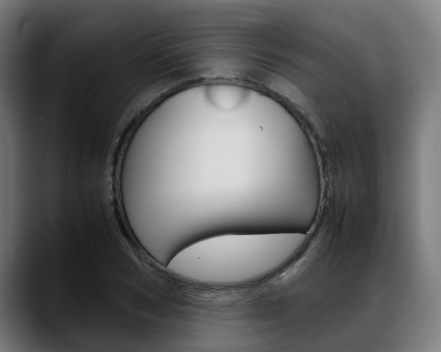 X0000088660978200705250958