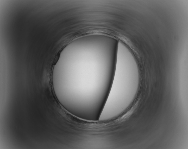X0000088660985200705250958